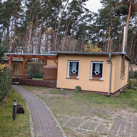 Spreewaldhaeuser Golinski Mit Kamin Am Neuendorfer See Alt Schadow Buitenkant foto