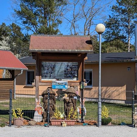 Spreewaldhaeuser Golinski Mit Kamin Am Neuendorfer See Alt Schadow Buitenkant foto