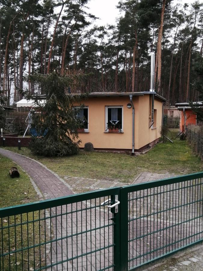Spreewaldhaeuser Golinski Mit Kamin Am Neuendorfer See Alt Schadow Buitenkant foto