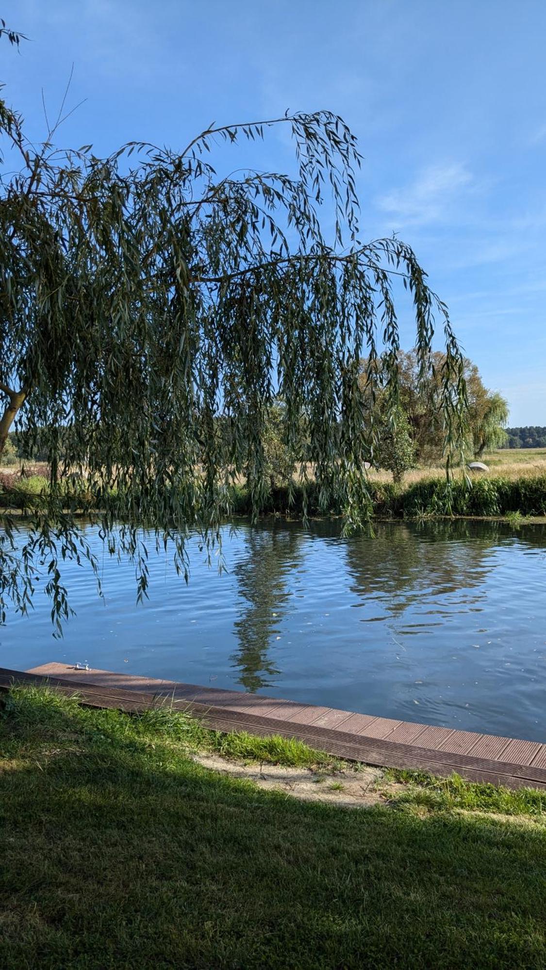 Spreewaldhaeuser Golinski Mit Kamin Am Neuendorfer See Alt Schadow Buitenkant foto